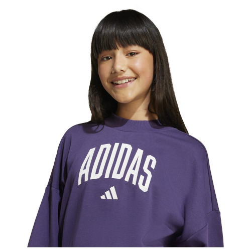 Adidas Παιδικό φούτερ Seasonals Essentials Collegiate Typography Sweatshirt
